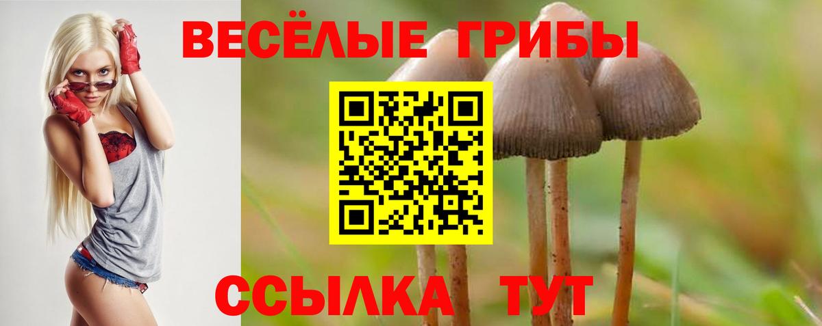 Галлюциногенные грибы Cubensis  Вход с VPN  Обь 